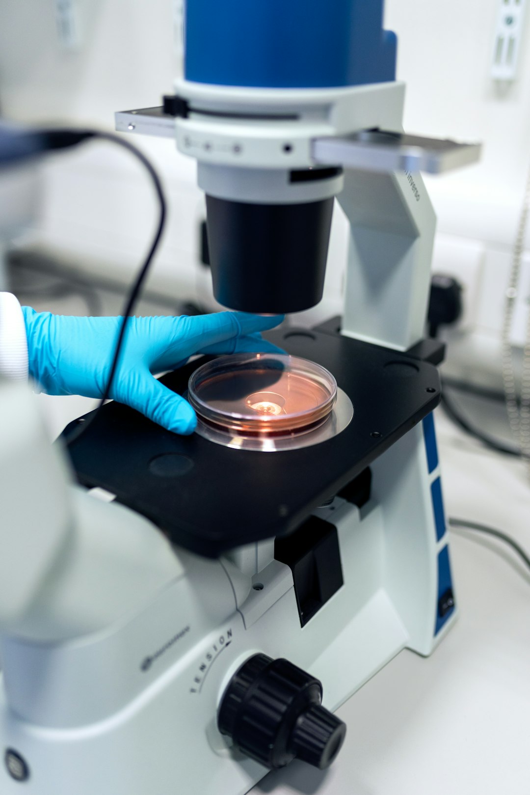 service-02 Biomedical engineer uses microscope